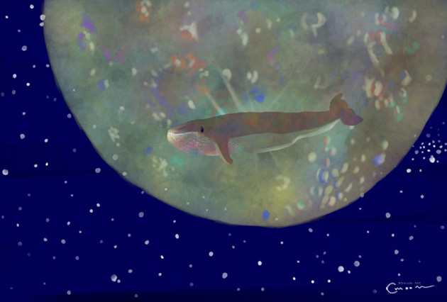 月とクジラ