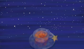 星屑紅茶