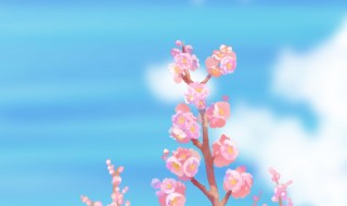 梅の花と青空202105